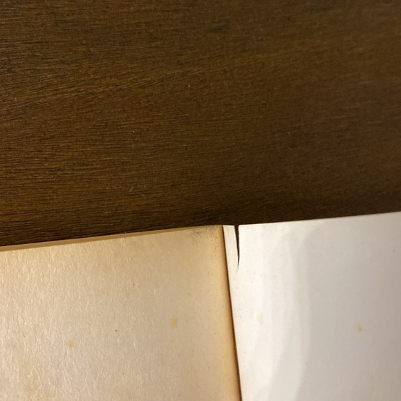 Incidents in the Life of a Slave Girl Written by Herself By Harriet Jacobs - Picture 9 of 11